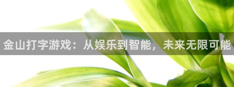 泰达娱乐4招商：金山打字游戏：从娱乐到智能，未来无限可能